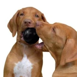 KONG Extreme Ball -Angebote Hunde Moden Store 74241 kong extremeball hs 03 6