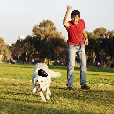 KONG Extreme 6 KONG Extreme – Bild 6