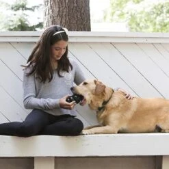 KONG Extreme 23 KONG Extreme -Angebote Hunde Moden Store 74319 kongextremeschwarz hs 03 2