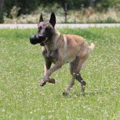 KONG Extreme 24 KONG Extreme -Angebote Hunde Moden Store 74319 kongextremeschwarz hs 04 9