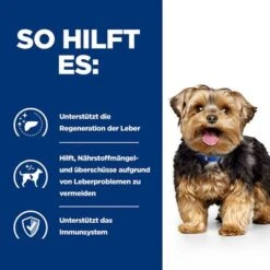 Hill's Prescription Diet L/d Liver Care Nassfutter Für Hunde -Angebote Hunde Moden Store 75106 hills prescriptiondiet ld livercare nassfutter hunde hs 05 0