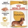 Royal Canin Dachshund Mousse