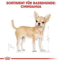 Royal Canin Chihuahua Mousse -Angebote Hunde Moden Store 77919 rc breed chihuahua wet hs 01 5