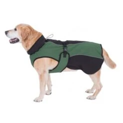 Softshell-Hundemantel -Angebote Hunde Moden Store 81644 softshell gruen hund fg 8796 6