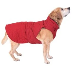 Hundemantel Steppmuster -Angebote Hunde Moden Store 81645 hundemantel steppmuster hund fg 8615 gespiegelt 8