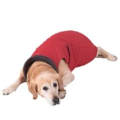 Hundemantel Steppmuster -Angebote Hunde Moden Store 81645 hundemantel steppmuster hund fg 8625 gespiegelt 3