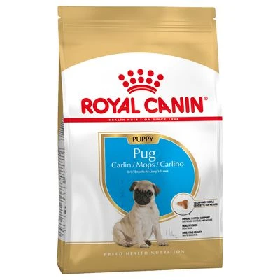 Royal Canin Pug Puppy 2 Royal Canin Pug Puppy – Bild 2