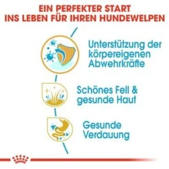 Royal Canin Cocker Puppy -Angebote Hunde Moden Store 84452 royalcanin puppyhund cocker hs 03 4