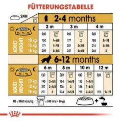 Royal Canin Cocker Puppy -Angebote Hunde Moden Store 84452 royalcanin puppyhund cocker hs 05 8