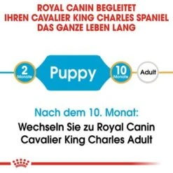 Royal Canin Cavalier King Charles Puppy -Angebote Hunde Moden Store 84453 rc cavalier king charles puppy hs 01 5