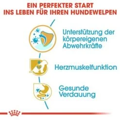 Royal Canin Cavalier King Charles Puppy -Angebote Hunde Moden Store 84453 rc cavalier king charles puppy hs 03 0