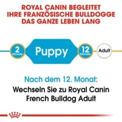 Royal Canin French Bulldog Puppy -Angebote Hunde Moden Store 84455 rc bhn puppyfrenchbulldog cm eretailkit 1de de 3
