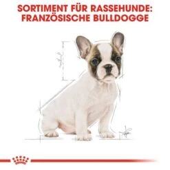 Royal Canin French Bulldog Puppy -Angebote Hunde Moden Store 84455 rc bhn puppyfrenchbulldog cm eretailkit 4de de 5