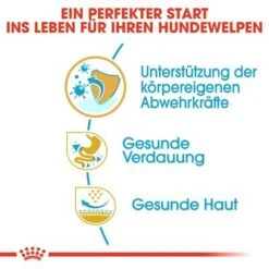 Royal Canin French Bulldog Puppy -Angebote Hunde Moden Store 84455 rc bhn puppyfrenchbulldog cm eretailkit de de 2