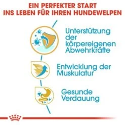 Royal Canin Boxer Puppy -Angebote Hunde Moden Store 84598 rc breed boxer puppy hs 03 1