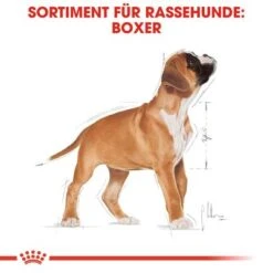 Royal Canin Boxer Puppy -Angebote Hunde Moden Store 84598 rc breed boxer puppy hs 04 6
