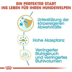 Royal Canin Chihuahua Puppy -Angebote Hunde Moden Store 84601 rc chihuahua puppy hs 03 1