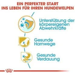 Royal Canin Dalmatian Puppy -Angebote Hunde Moden Store 84604 rc bhn puppydalmatian cm eretailkit 3de de 9