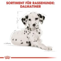 Royal Canin Dalmatian Puppy -Angebote Hunde Moden Store 84604 rc bhn puppydalmatian cm eretailkit 4de de 9