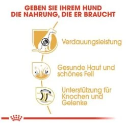 Royal Canin German Shepherd Adult -Angebote Hunde Moden Store 84716 rc german shepherd adult hs 04 0