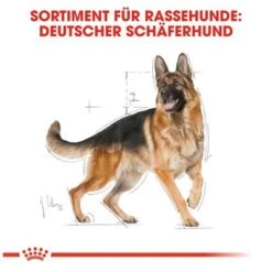 Royal Canin German Shepherd Adult -Angebote Hunde Moden Store 84716 rc german shepherd adult hs 06 0