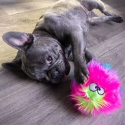 GoDog® Furballz Regenbogen -Angebote Hunde Moden Store 84956 godog furballzregenbogen hs 06 0