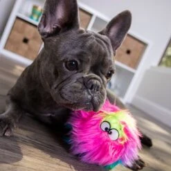 GoDog® Furballz Regenbogen -Angebote Hunde Moden Store 84956 godog furballzregenbogen hs 08 4