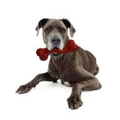 Nylabone Dura Chew Monster -Angebote Hunde Moden Store 94898 nylabone durra chew monster hs 05 1