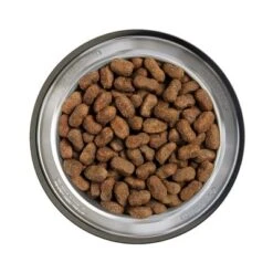 Belcando Getreidefrei Junior Geflügel -Angebote Hunde Moden Store 99416 belcando grainfree junior poultry kibbles 4