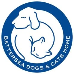 Pet Teezer De-shedding Brush Small -Angebote Hunde Moden Store 99699 newflag petteezer desheddingbrush purple hs 06 4