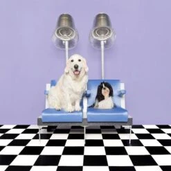 Pet Teezer De-shedding Brush -Angebote Hunde Moden Store 99699 newflag petteezer desheddingbrush purple hs 09 3