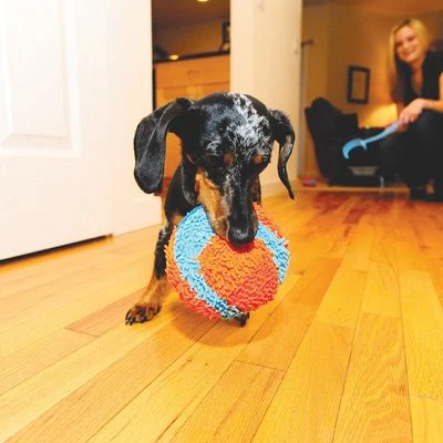 Chuckit! Indoor Ball 2 Chuckit! Indoor Ball – Bild 2