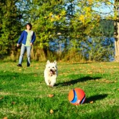Chuckit! Kick Fetch -Angebote Hunde Moden Store 99703 petmate chuckit kick fetch large hs 04 9