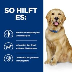 Hill's Prescription Diet J/d Joint Care Mit Huhn -Angebote Hunde Moden Store atf 605645 how it helps 8