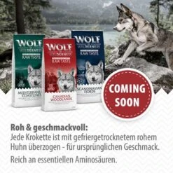 Angebote Hunde Moden Store -Angebote Hunde Moden Store board 1000x1000 de v03 4