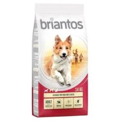 Briantos Sparpaket (2 X Großgebinde) -Angebote Hunde Moden Store briantos adult chickenrice 14kg 1000x1000 9