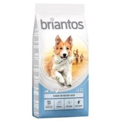 Briantos Trockenfutter 13 + 1 Kg Gratis! -Angebote Hunde Moden Store briantos adult light 14kg 1000x1000 1 1 1