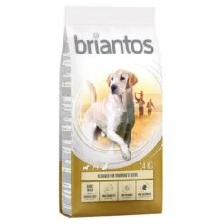 Briantos Sparpaket (2 X Großgebinde) -Angebote Hunde Moden Store briantos adult maxi chickenrice 14kg 1000x1000 2