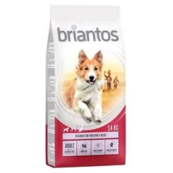 Briantos Sparpaket (2 X Großgebinde) -Angebote Hunde Moden Store briantos adult salmonrice 14kg 1000x1000 0