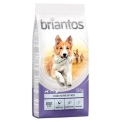 Briantos Trockenfutter 13 + 1 Kg Gratis! -Angebote Hunde Moden Store briantos c 14kg adult active 2022 1000x1000 9