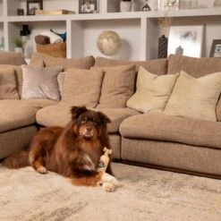 Pet Head Sensitive Soul -Angebote Hunde Moden Store companyofanimals pethead sensitivesoul set3teilig hs 08 9