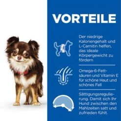 Hill's Science Plan Adult 1-6 Light Small & Mini Mit Huhn 11 Hill's Science Plan Adult 1-6 Light Small & Mini Mit Huhn -Angebote Hunde Moden Store de dog adult s m light chicken transition benefits 0
