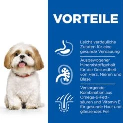Hill's Science Plan Mature Adult 7+ Small & Mini Mit Huhn -Angebote Hunde Moden Store de dog ma s m chicken transition benefits 9