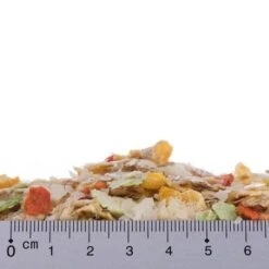 10 Kg Rocco Flocken-Mix + 6 X 400g Oder 800g Rocco Classic -Angebote Hunde Moden Store fm lineal 2