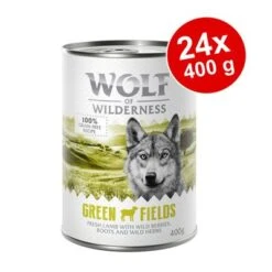 Sparpaket Wolf Of Wilderness Adult 24 X 400 G - Single Protein
