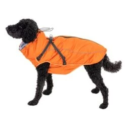 TIAKI Hundemantel Mit Geschirr Arkon, Orangeneu -Angebote Hunde Moden Store harness arkon 55cm fg 9722 8