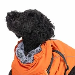 TIAKI Hundemantel Mit Geschirr Arkon, Orangeneu -Angebote Hunde Moden Store harness arkon 55cm fg 9730 2