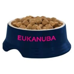 Eukanuba Thriving Mature Large Breed Huhn -Angebote Hunde Moden Store iams eukanuba 8710255120942 4 8