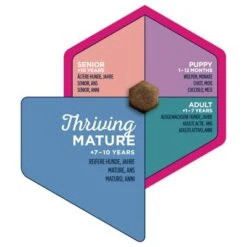 Eukanuba Thriving Mature Medium Breed Huhn -Angebote Hunde Moden Store iams eukanuba 8710255120980 3 8