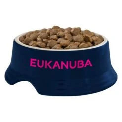 Eukanuba Thriving Mature Medium Breed Huhn -Angebote Hunde Moden Store iams eukanuba 8710255120980 4 5